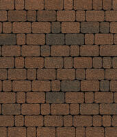  Тротуарная плитка Выбор Арена Б.1.АР.6 Листопад Мустанг: внешний вид